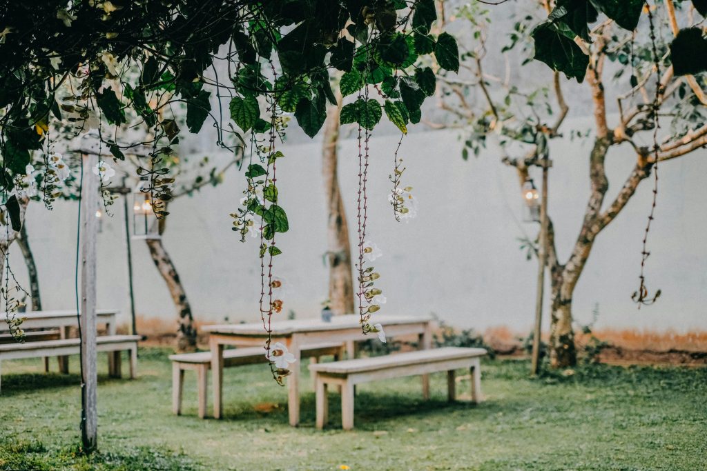 Jasa Taman Indoor