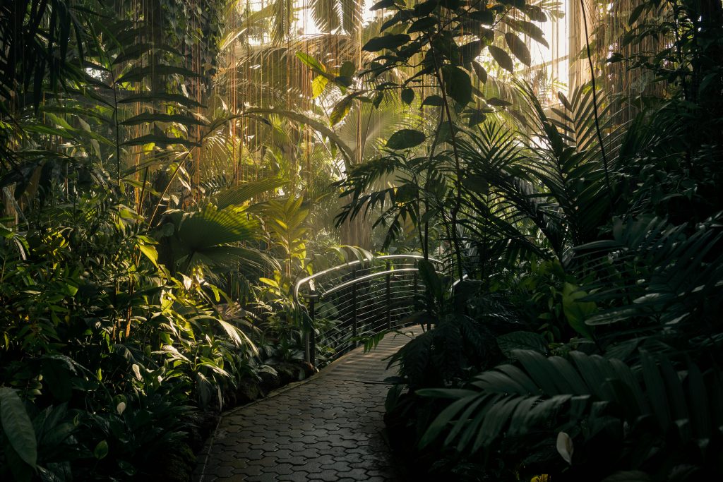 Konsultan lanskap murah