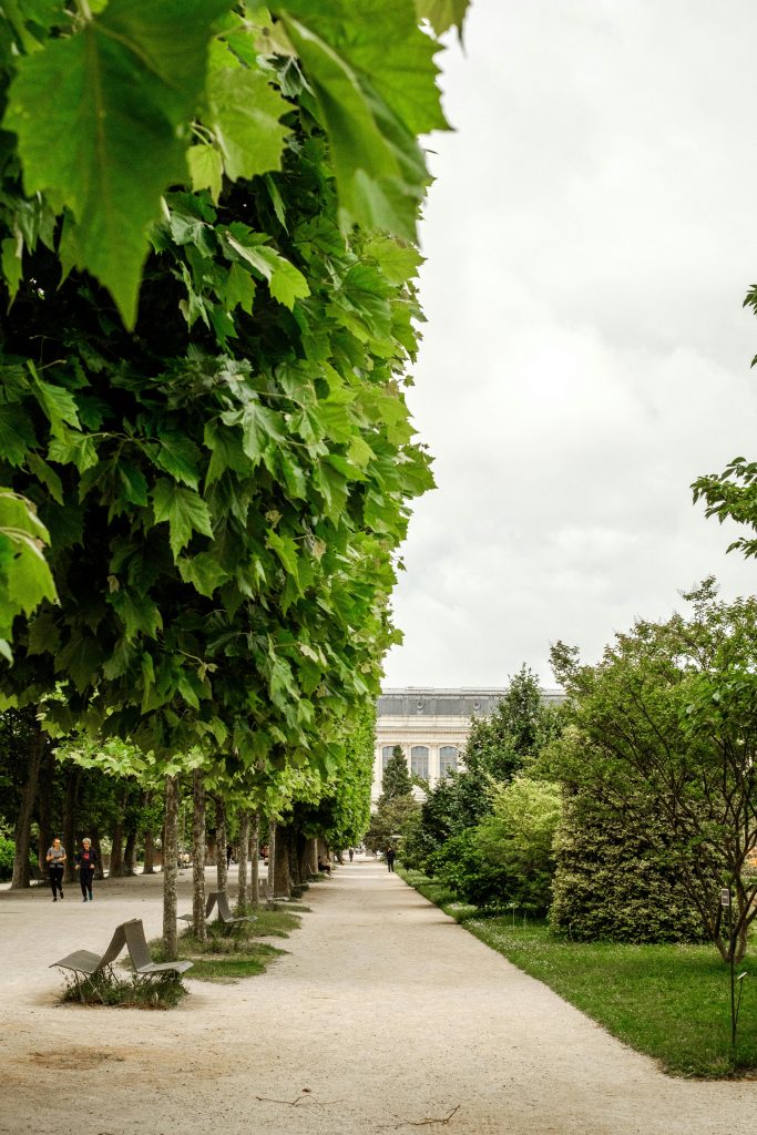 Perencanaan Ruang Hijau