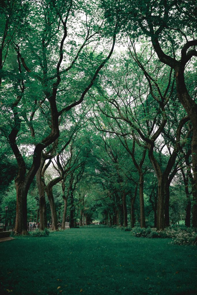 Perencanaan Taman Kota