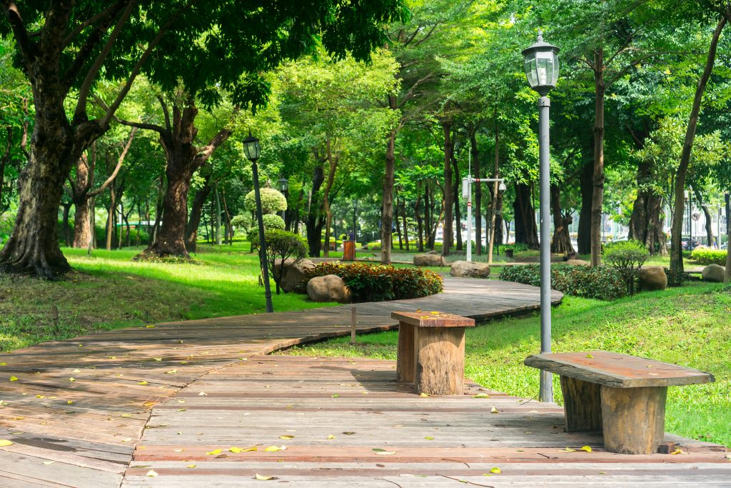 jasa landscape jakarta selatan