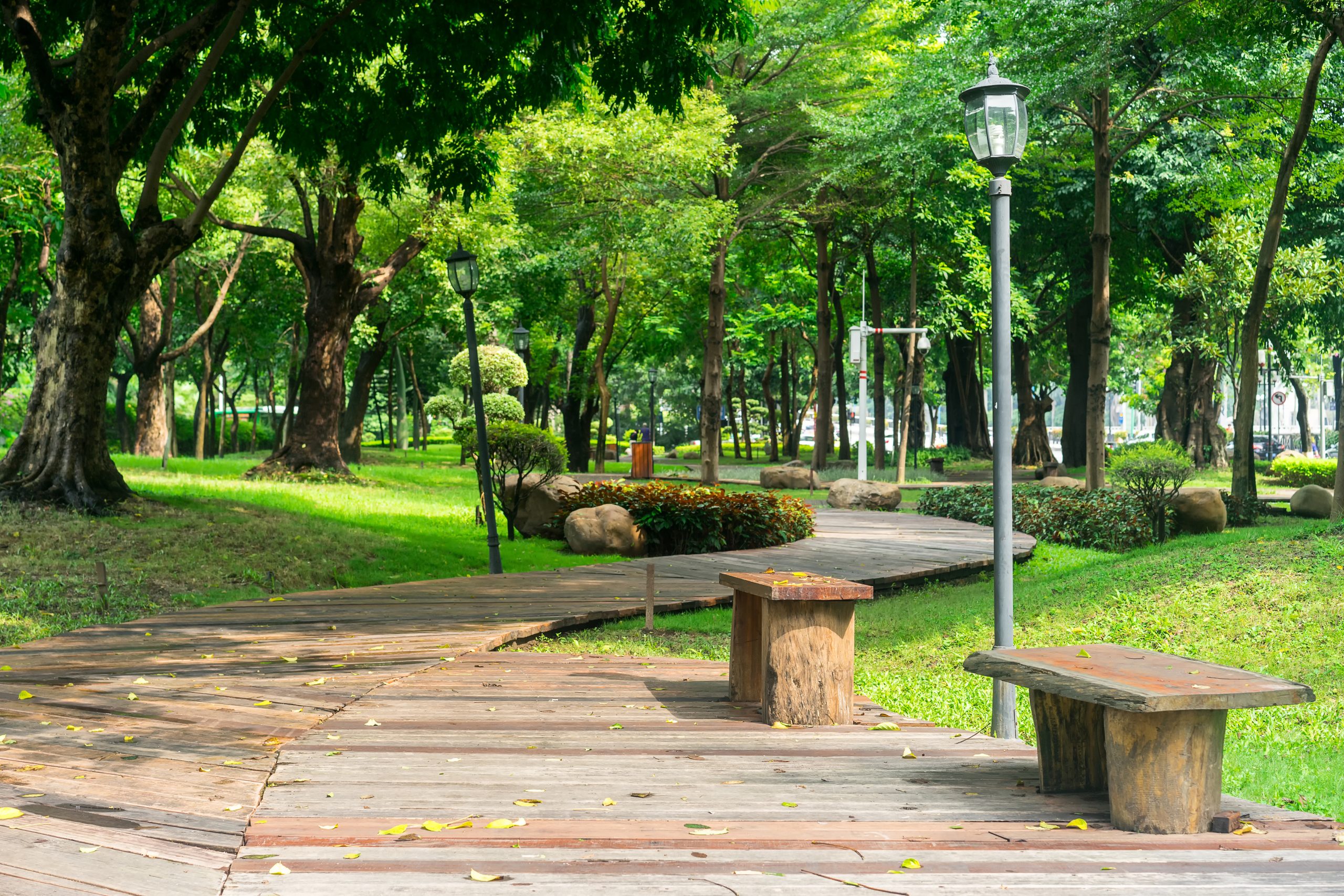 jasa landscape jakarta selatan